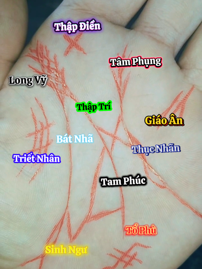 Số Mệnh Căn Phúc Lớn #xuhuong #xemtuongbantay #giaitri #xemtuongchitay 