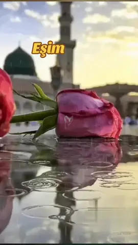 eşim #pratikbilgidinivideolar #dinivideolarpratik #dualarimizikabulet 