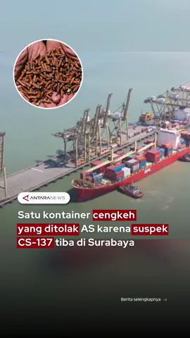 Satu kontainer cengkeh yang ditolak AS karena suspek CS-137 tiba di Surabaya #cengkeh #cengkehekspor #cesium137 #radioaktiif #kontainer 