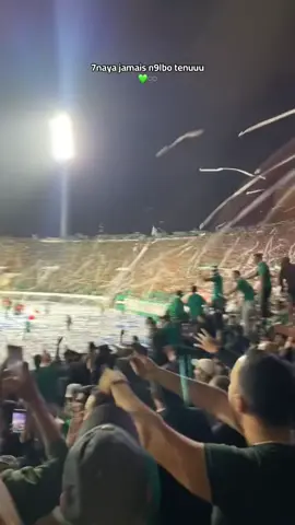 #corvasud #ppppppppppppppppppppppp💚♾️🦅