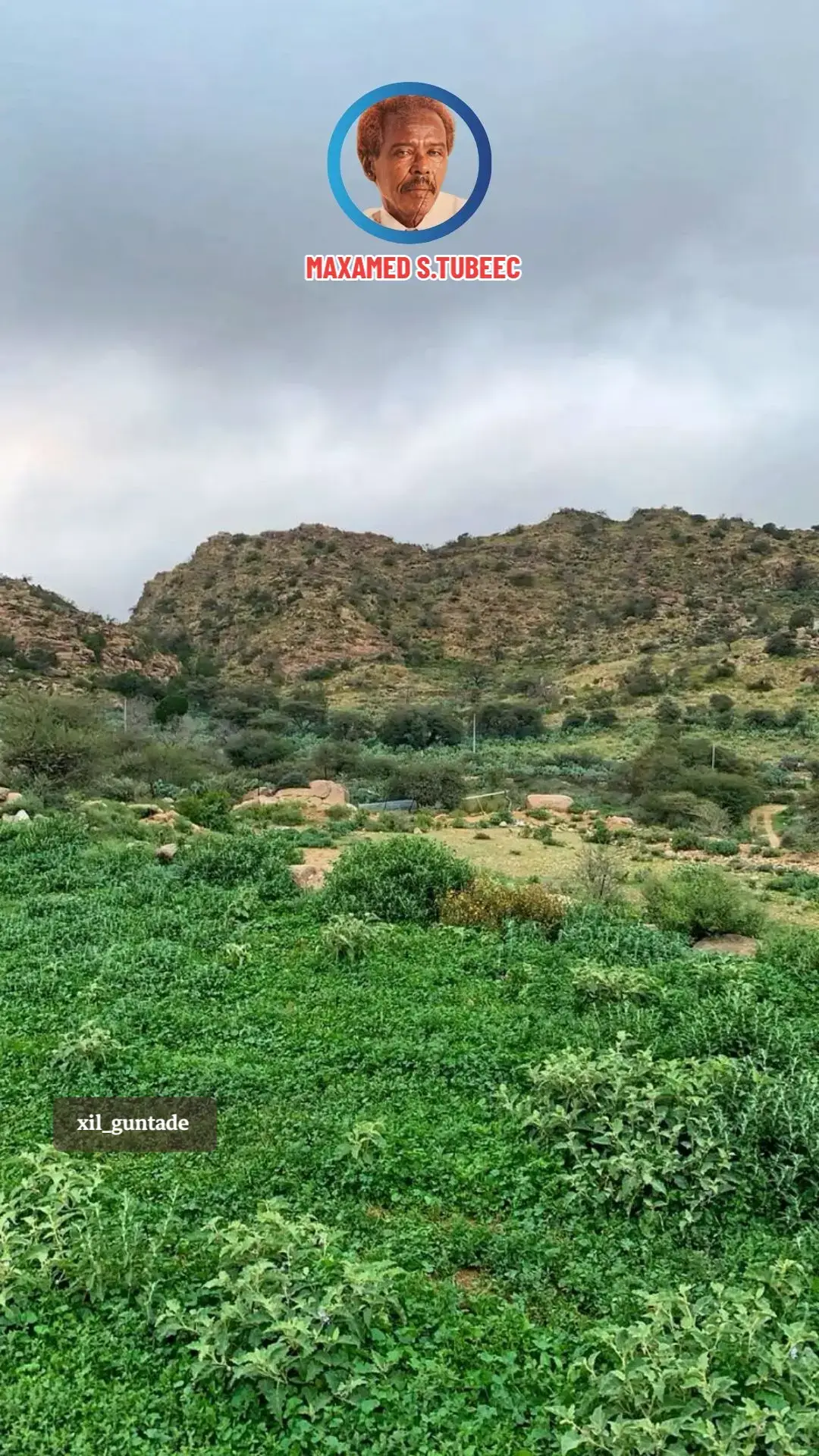 #xil_guntade #somalitiktok #muqdishotiktok🇸🇴🇸🇴❤ #somalitiktok2023🇸🇴🇸🇴😍❤️ #somalitiktok12 