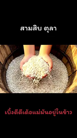 #เทรนวันนี้ #น้องกะทิ 