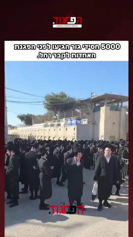 5000 חסידי גור הגיעו לפני הפגנת האחדות לקבר רחל.