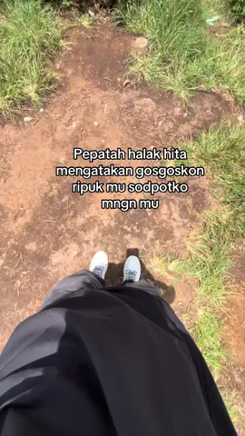 #masukberandafyp #fyp #xbcyza 