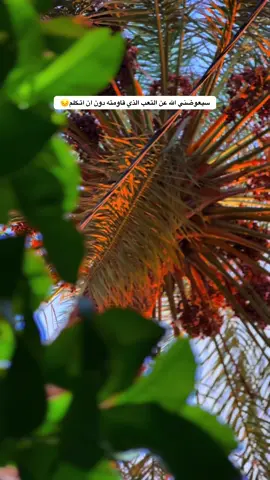 سيعوضني الله 😔#اقتباسات_عبارات_خواطر🖤🦋🥀 #عباراتكم_الفخمه📿📌 #باسميات #تصميم_فيديوهات🎶🎤🎬تصميمي🔥 #fypシ゚viral 