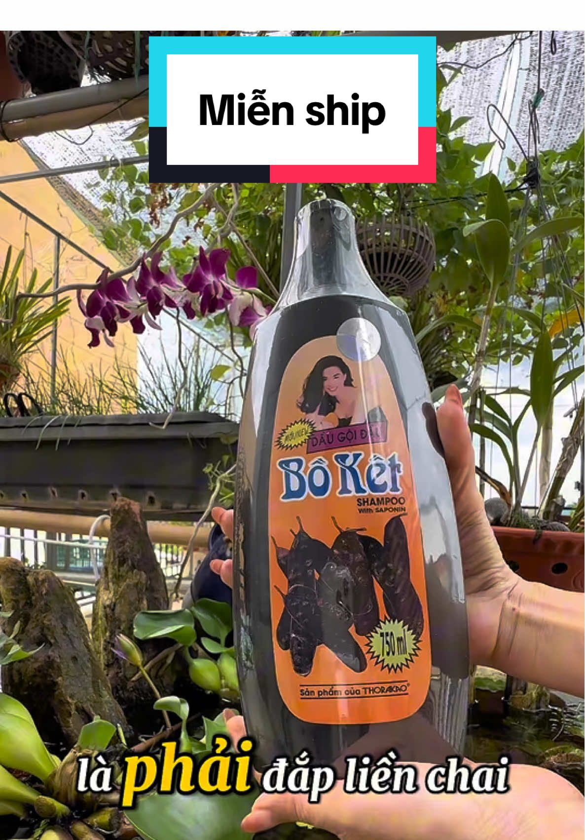 Dầu gội bồ kết Thorakao chai 750ml  #daugoi #daugoidau #daugoiboket #thorakao #daugoiboketthorakao  @Đào 82 