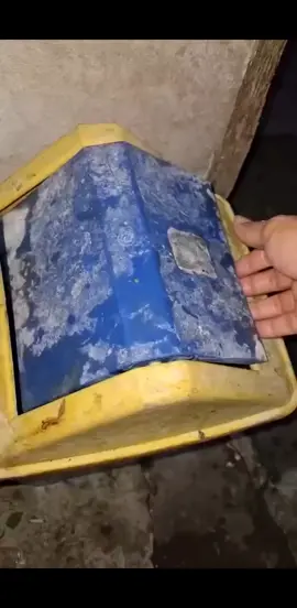 ulala #urbanlegend #foryou #foryoupage #fyp #viral #mythicalcreatures 