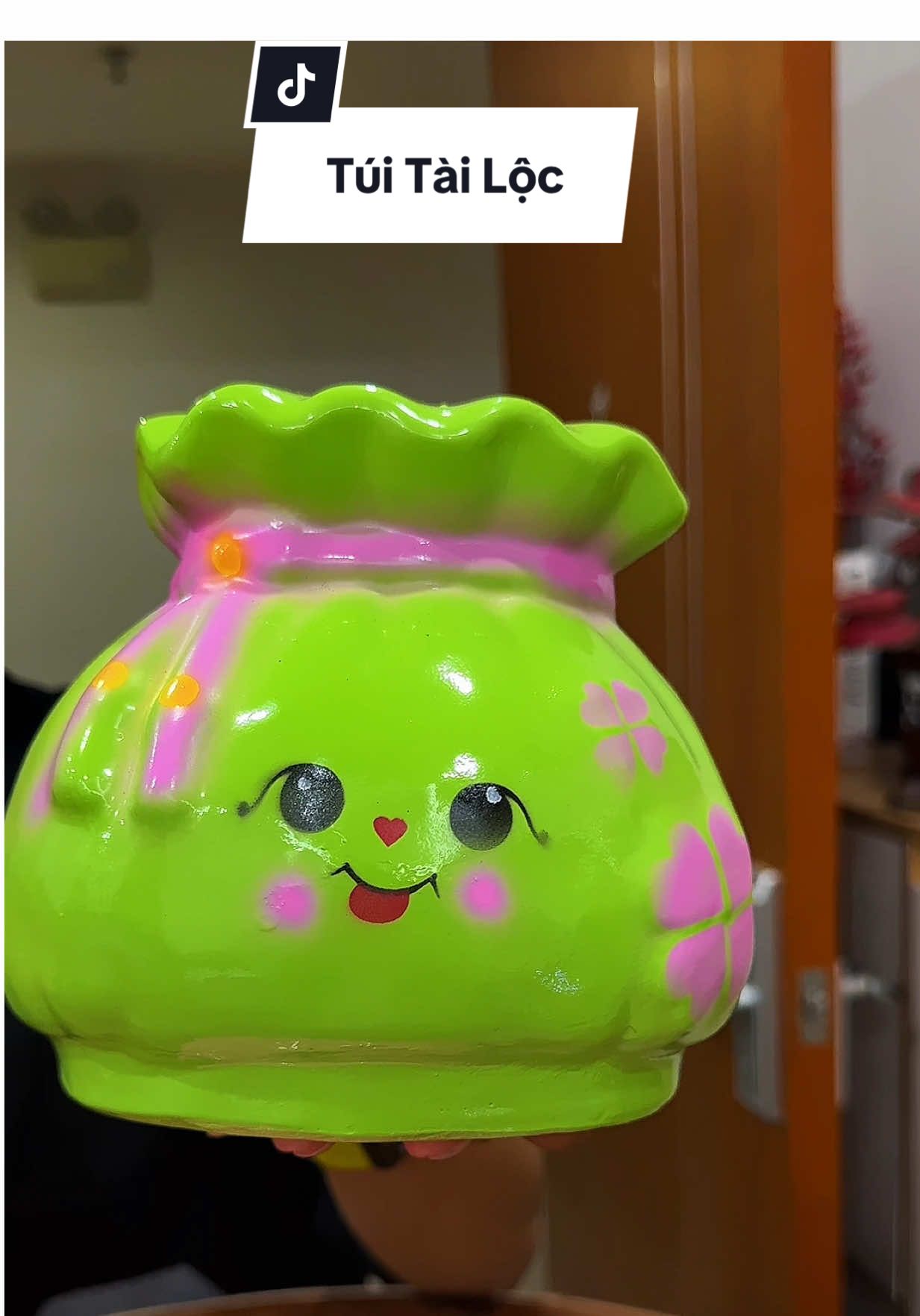 Túi tiền 💰 tài lộc #haohomhinh #heodattietkiem 