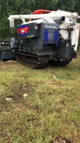 នាងពេញក្រមុំហើយមេមេ😁🖤🌾#dc120x #បន្ទាយមានជ័យផ្ទះខ្ញុំ🏚💗 #គោកកីភូមិខ្ញុំ😍😘 