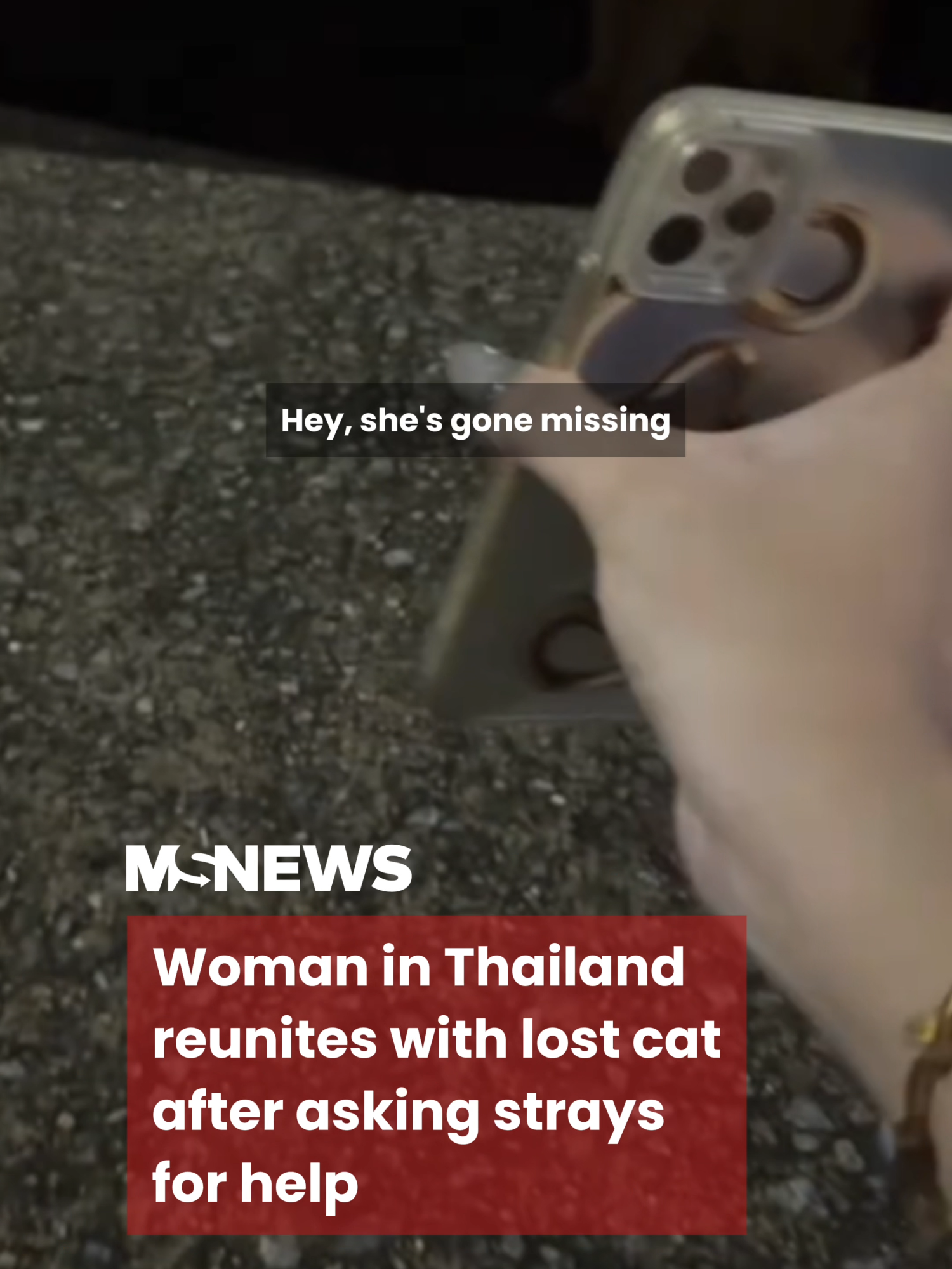 There’s a belief that when your cat is lost, you can ask stray cats for help by describing your pet and telling them how much you want them home. It’s said the cats will “spread the word” and guide your pet back. 😺✨#mustsharenews#sgfyp #thailand Video courtesy of@jen_na1995 on Tiktok.