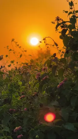 Karan Khan 🕊️🌸 #fyp #viral #foryou #afnan4smile #mazigar 