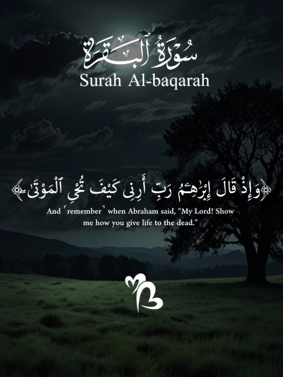 #CapCut #قران #قرآن_كريم #سورة_البقرة #اللهم_صل_وسلم_وبارك_على_نبينا_محمد🌹💙 