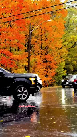 #fyp #foryou #foryoupage #viral #فيروز 