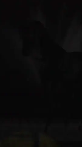 #sesefektleri ttttttt