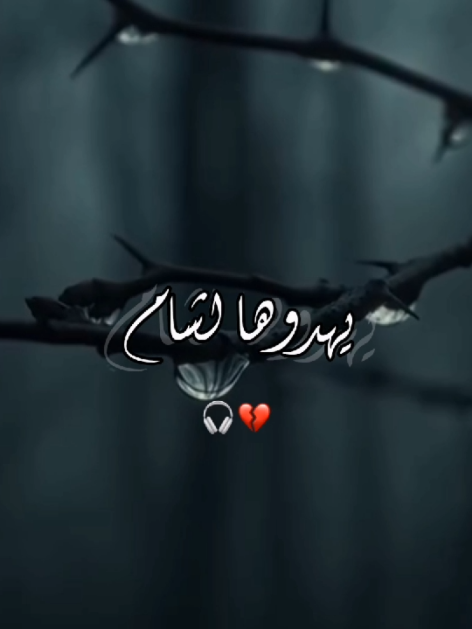 ماكام اخو تلكاني 💔🎧 . . . . . . . . . . . . . #مسلم_الوائلي  #تصميم_فيديوهات🎶🎤🎬 