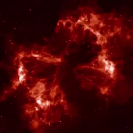 وهذه أحله افتار الكم #افتارات #مشاهدات_تيك_توك #متابعين #لايكات #الشعب_الصيني_ماله_حل😂😂 