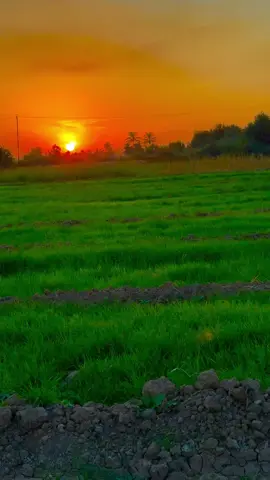 واني من تطلع شمس ليلي بدهَ 💔 . . . #قتباسات #عبارات #سميرصبيح #الفديو_موجود_بقناتي_تلكرام_بلبايو🦋💘 