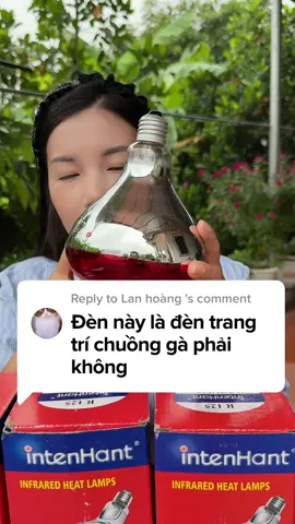 Đèn sưởi #densuoi #bonghongngoai #denumga #densuoiam #chinam68 