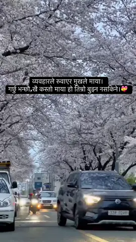 व्यवहारले रुवाएर मुखले माया।  गर्छु भन्छौ,खै कस्तो माया हो तिम्रो बुझ्न नसकिने।💝#fyp #foryou #🌹🌹🌹🌹🌹🌹🌹🌹🌹🌹🌹🌹 #brokenheart 