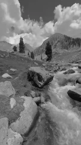 No lyrics,feel this song🖤old song🎵#mentionsomeone #resamrumalkatipareko#keeploving❤️ #keepsupporting🙏 #oldisgold 