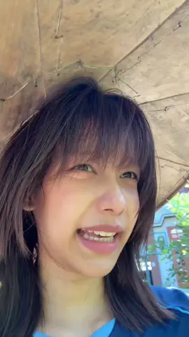 ဗီတာမင် ပျား ပိတုံး လိပ်ပြာ 