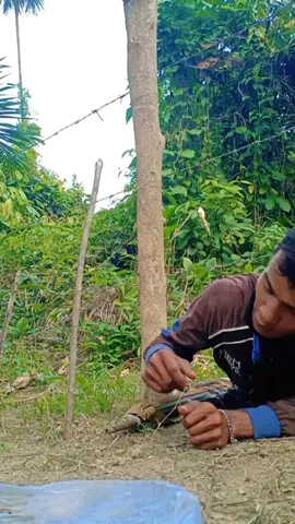 bendera aceh classic#fypシ゚viral 