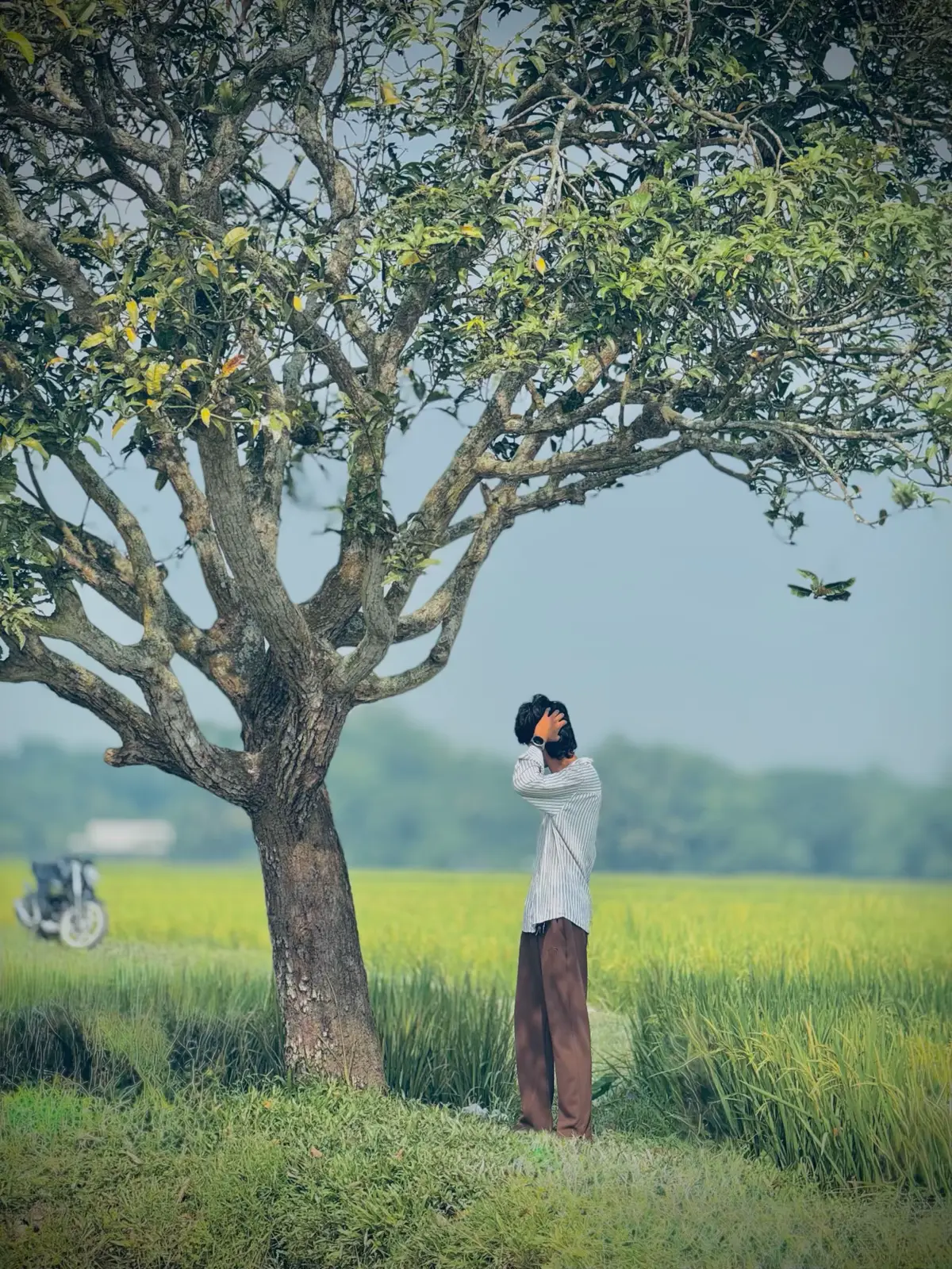 . . . . . . #outfit cowok berwama #yourhamdi #500k #100likes #fyyyyyyyyyyyyyyyy 