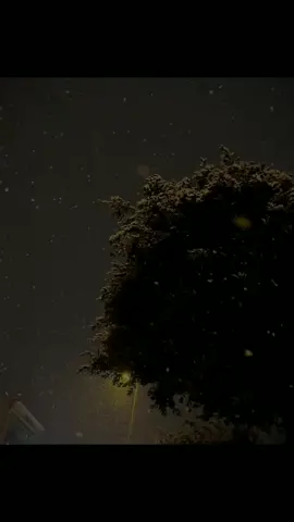 #সংগৃহীত🖋️  ,.  ,.  #foryou #unfrezzmyaccount #fyppppppppppppppppppppppp #لا_اله_الا_الله_محمد_رسول_الله 