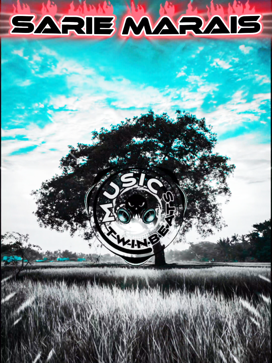 #tiktoksouthafrica #twinbeats #sariemarais #tiktoksa #southafrica 