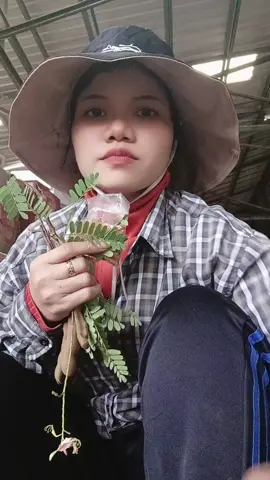 #tiktokindia #ព្រោះខ្ញុំមិនដែលមានផង