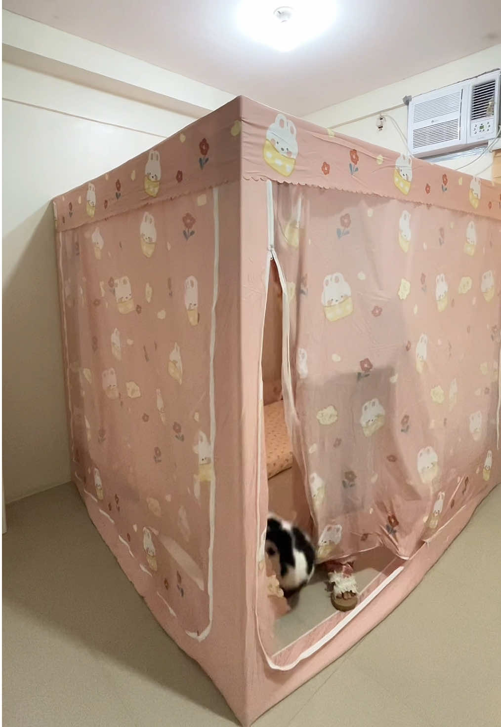 Kulambo na para ka nang may portable na kwarto 🥰 #mosquitonet #kulambo #portableroom #modernkulambo #bedroom