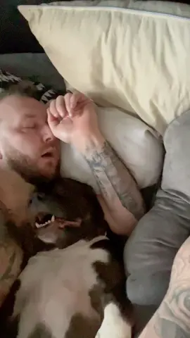 Pitbull Core🤣pitbull#pitbullsoftiktok #pitbull #fyp#funnforyou#usaus#dog 