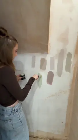 Had to repost - What colour ?!?! #painting #pantry #kitchen #renovationproject #diyproject 