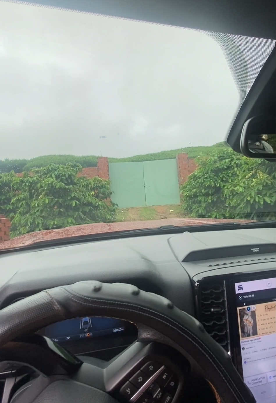 Sắp tới mùa cà phê nữa rồi.. ước cho được nhiều trái để e có tiền đi nhậu😁 #cuongnongsan #caphe #nongdan #xuhuong 