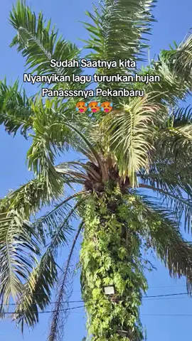 Ampun DJ Pekanbaru #pojokcoffeestadion #pekanbaru #PKU #turunkanhujan 