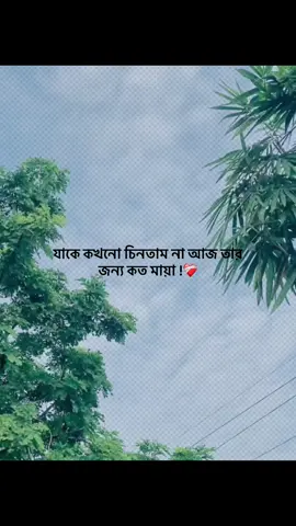 যাকে কখনো চিনতাম না আজ তার  জন্য কত মায়া !❤️‍🩹#foryou #trending #banglacaption #popularvedio #captionvedio 