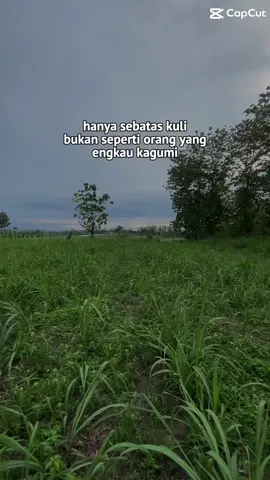 Keluh kesah mu musim giling2025 pye bolo#sragen24jam #sragen #sragenbumisukowati #petanitebu #abcxyz 