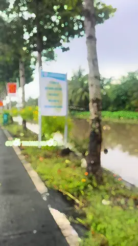 sông sâu thước dò.. ai mà dò đc lòng người ta!#sôngnướcmiềntây #68kiengiang #mưa #viralvideo 