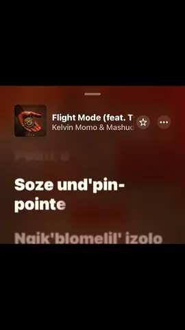 Flight mode😭📌#hugeprod #fyppppppppppppppppppppppp #viral #travisscott #southafrica 