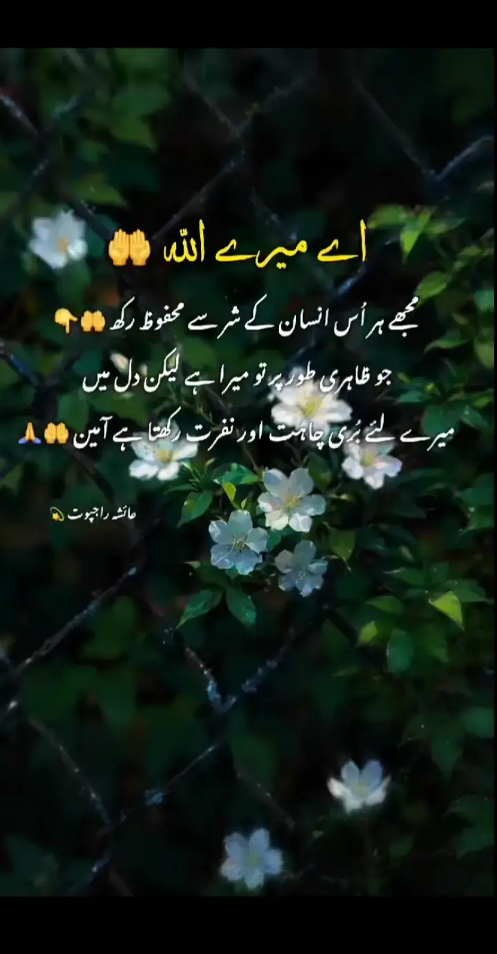 Ameen 🤲🤲🤲❤️❤️❤️✨✨✨🌺🌺🌺