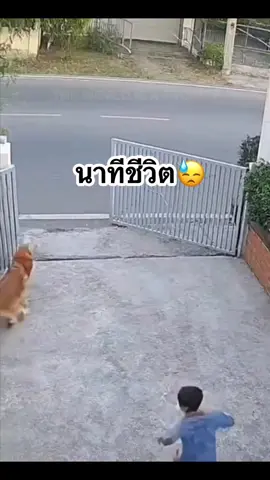 นาทีชีวิตจริงๆเลย