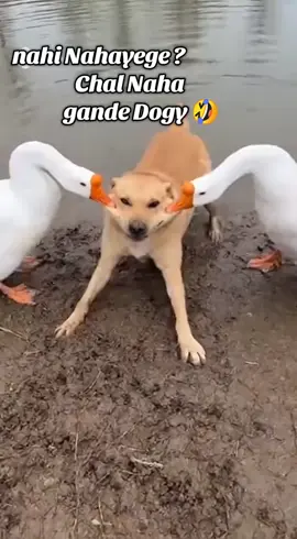 লাগতে আসবি আরো আমাদের সাথে ###