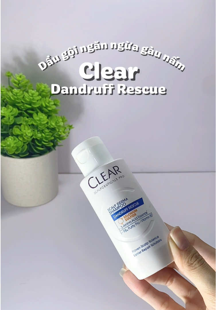 Dầu gội siêu siêu mê #ClearScalpceuticals #sachgauvuottroi #HợptáccùngUnilever #ClearVN #viral 