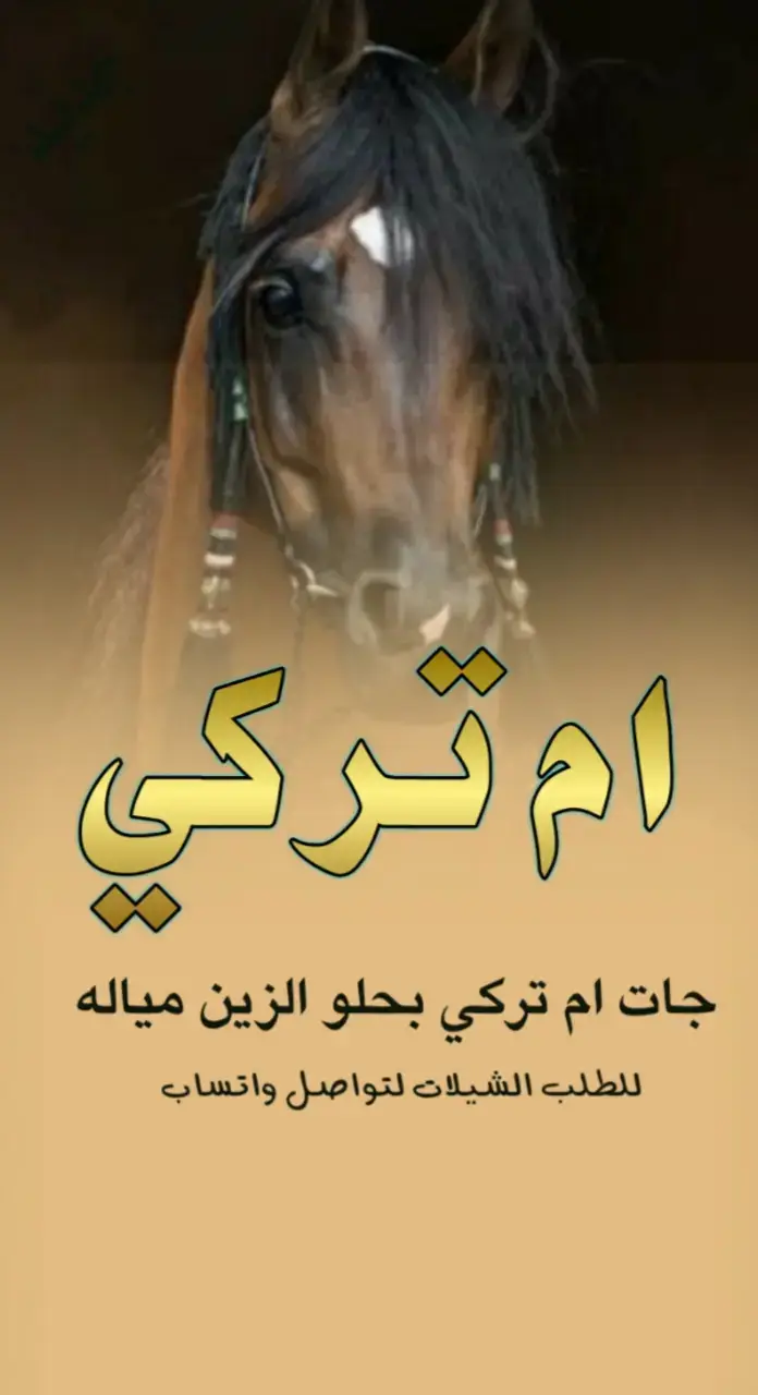 شيلة مدح باسم ام تركي #اكسبلور #اكسبلور explore# السعودية 🇸🇦#الشعب _الصني _ماله _ حل😂😂#for you #you 