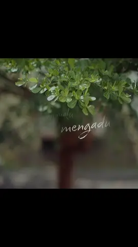 Rindu ku Rindu - Mahalini #laguviral #newsong #mahalini #rindukurindu #liriklagu 