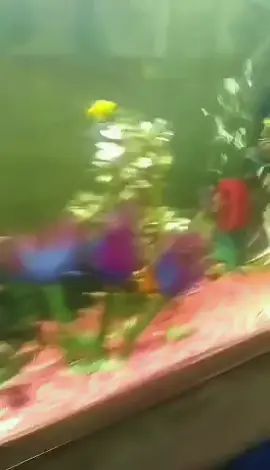 😭😭😭😩✌️