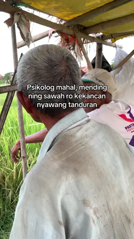 😇 #fypage #fyp #pertanian #petaniindonesia🇮🇩🇮🇩🇮🇩🌿🌿 #petanimuda 