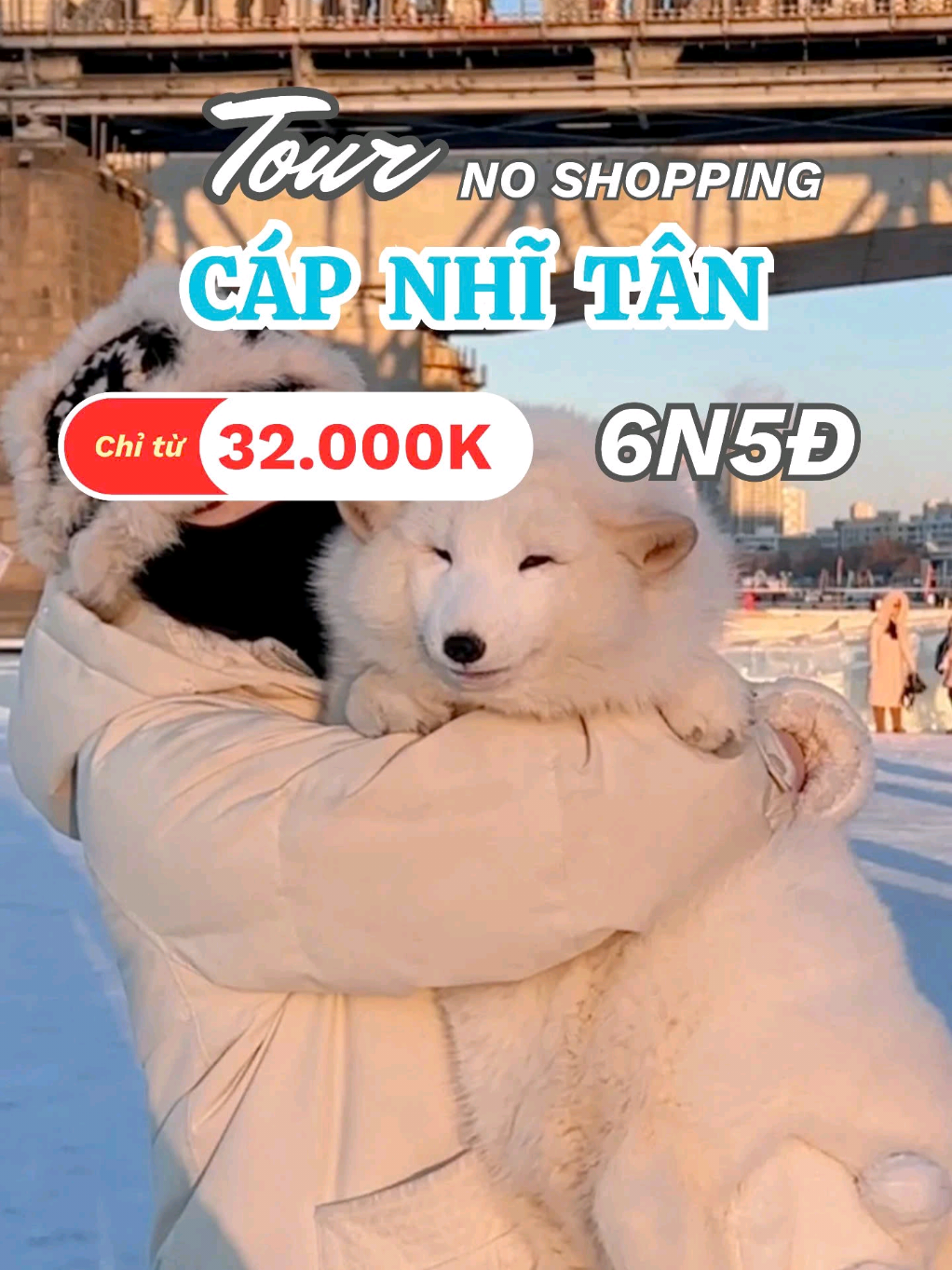 Cái ôm 100 cành 🌿 khiến bạn tan chảy giữa mùa đông lạnh lẽo  tại Cáp Nhĩ Tân. ✈️ CÁP NHĨ TÂN - ❌️ NO SHOPPING 💸 Giá trọn gói chỉ từ 32.000.000đ 📅 Khởi hành hàng tuần từ Hà Nội 📩 Inbox ngay để giữ chỗ! #caotuyet #capnhitan #đátkỷ #dulichtrungquoc #khanhbangditour 