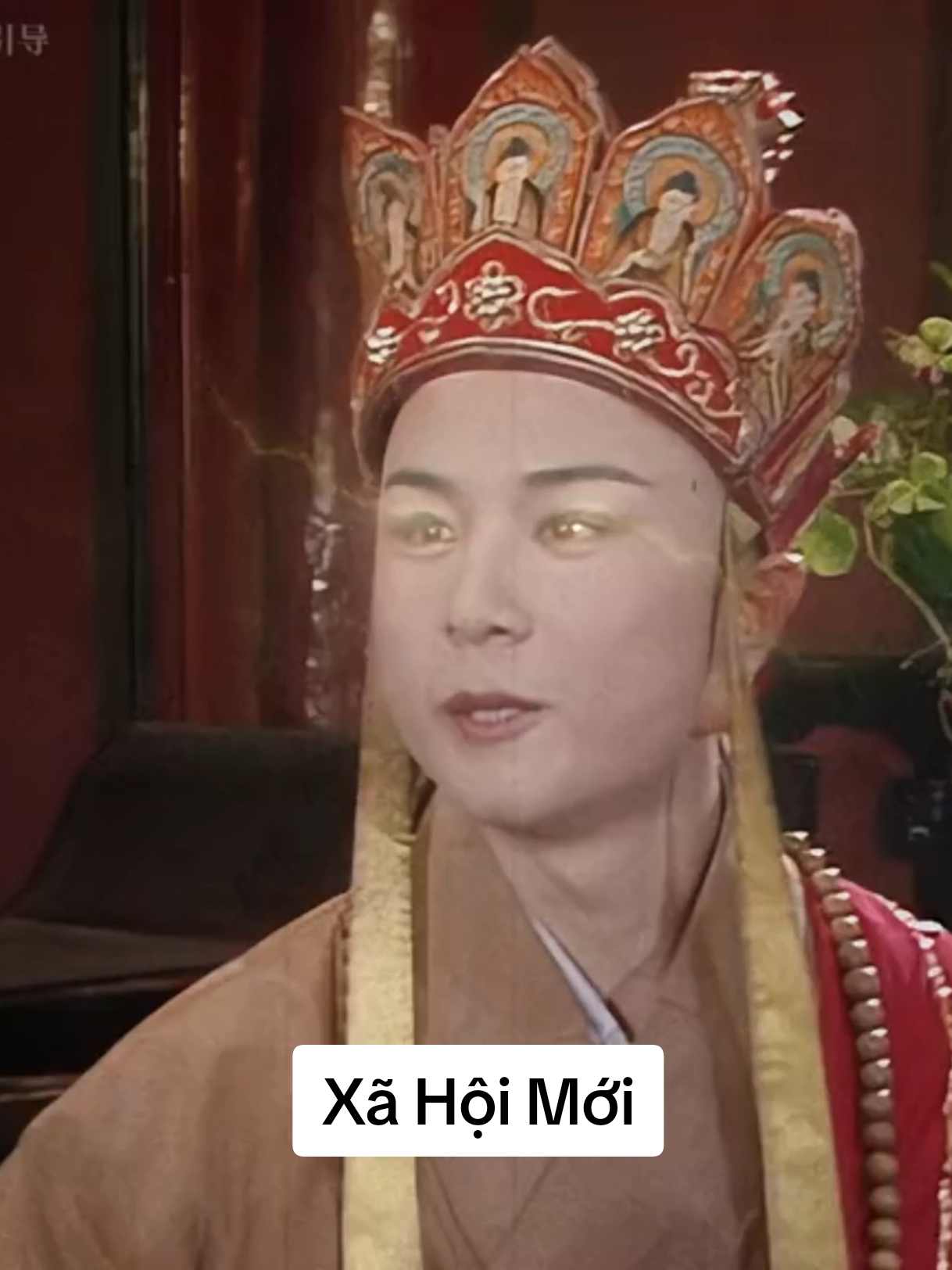 Một góc nhỏ của xã hội🤣#tayduky #vuinhon #cuoibebung 