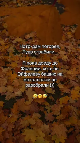 Реально 🤣 #зз #телец♉ #доедем😂 #покирпичикам #франция🇫🇷 